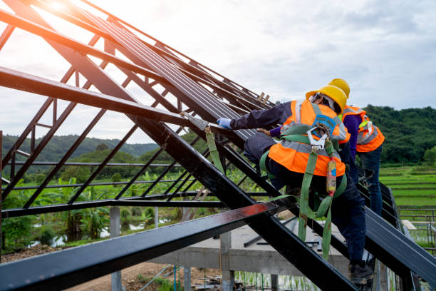 Best Shingle Roofing Installation  in Lamont, MI