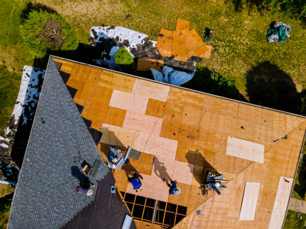 Best Storm Damage Roof Repair  in Lamont, MI