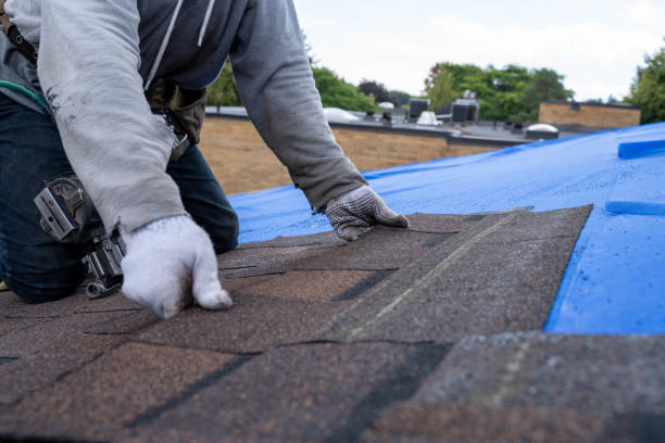 Best Roof Maintenance Services  in Lamont, MI