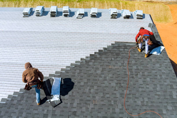 Best New Roof Installation  in Lamont, MI