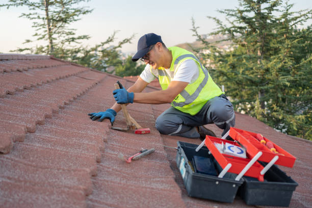 Best Emergency Roof Repair  in Lamont, MI
