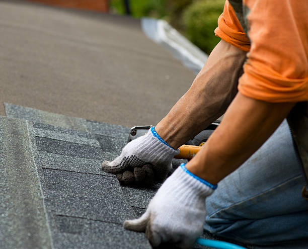 Best New Roof Installation  in Lamont, MI