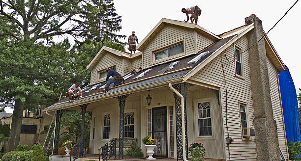 Gutter Installation and Roofing in Lamont, MI