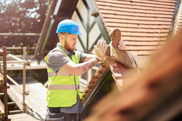 Best Roof Waterproofing Services  in Lamont, MI