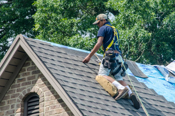 Best Metal Roofing Contractor  in Lamont, MI